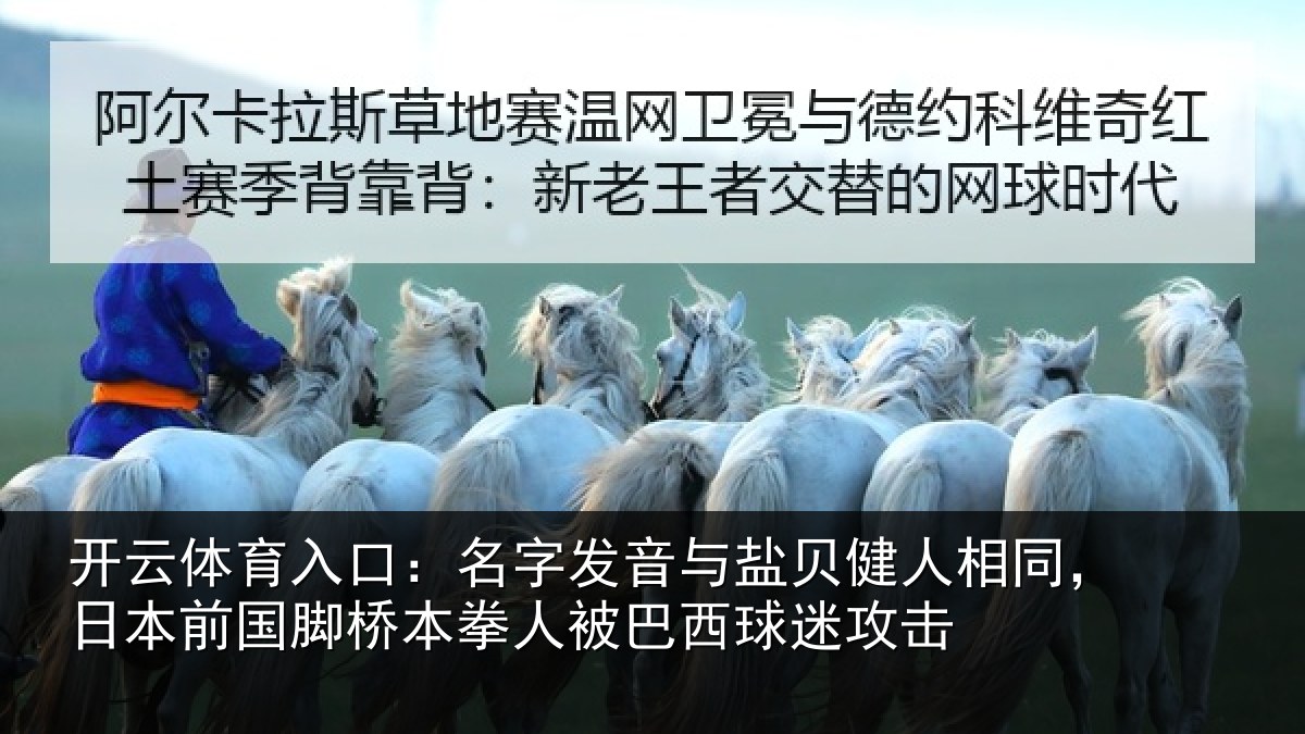 开云体育入口:名字相关情况同日相关情况被巴西球迷攻击