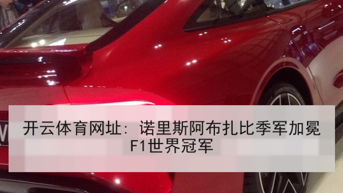 开云体育网址: 诺里斯阿布扎比季军加冕F1世界冠军