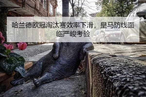 ha-lan-de-ou-guan-tao-tai-sai-xiao-lv-xia-hua-huang-ma-fang-xian-mian-lin-yan-jun-kao-yan-3-564.jpg